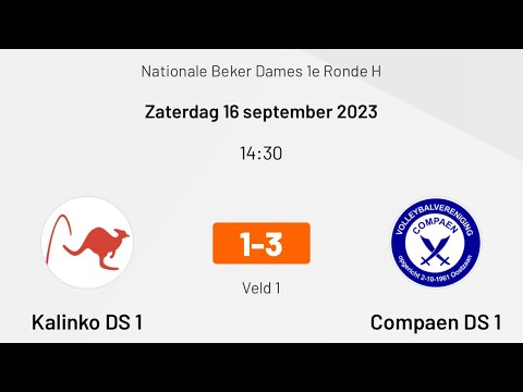 Kalinko DS1 - Compaen DS1