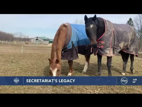Secretariat’s Offspring: The legacy of ‘Big Red’