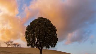 별 달 해 한국의 빛 - 이호준 작가, 원본 8K 2대1 화면비 타임랩스 - 픽프매거진