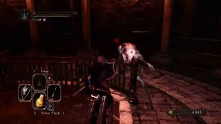 Heide Crusader and the Moonlight Princess boss fight