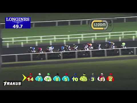 13.03.2014 Meydan (Dubai-UAE) 5.Race Empowering Our Future - 1.900 m