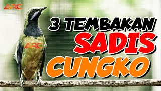 Download lagu TIGA LAGU MENGHIPNOTIS JURI DI LAPANGAN | ISIAN CUNGKO MEWAH MASTERAN GAMPANG DI TIRU mp3