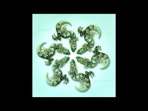 Bluetech - Prima Materia [2003] (Full Album)