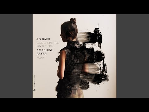 Partita pour violon No. 1 in B Minor, BWV 1002: VII. Tempo di borea