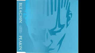 Peakin (Swedish Chef mix) - Bleachin