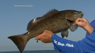 Shallow Water Grouper Fishing in Homosassa Florida