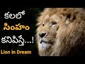 If You See A Lion In A Dream Kalalo Simham Kanipiste Lion In Dream Hindu Meaning