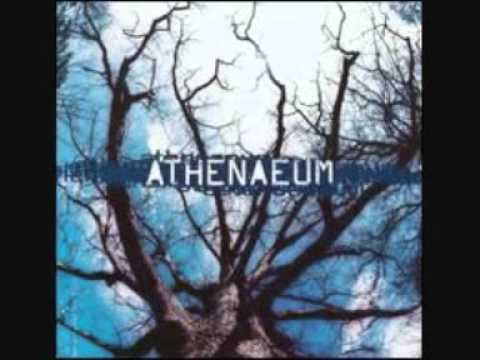 Athenaeum - Comfort
