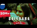 Saiyaara Goldie Khristi Ek Tha Tiger Broken