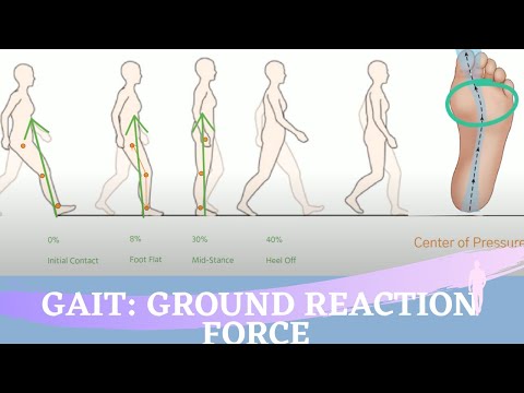 Ground Reaction Force During the Gait Cycle