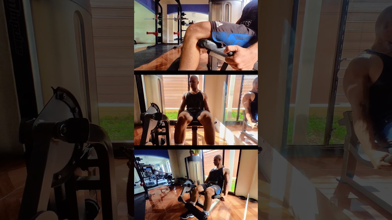 Leg Extension Video Video for the Leg extension machine exercise | App Instructor JP
