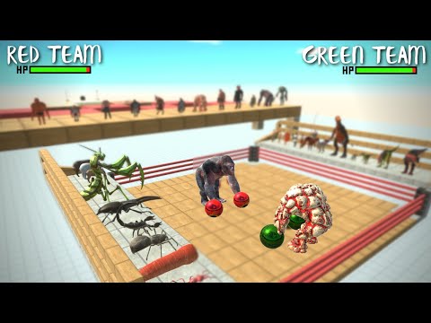 1v1 Arena Boxing Tournament with HP Bars | Animal Revolute Battle Simulator ARBS
