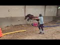 PONEY FRANCAIS DE SELLE