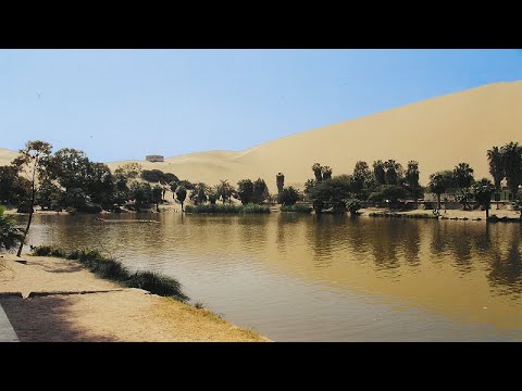 الواحة 2 عادل عبد المجيد