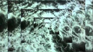 KUJUN - electro fog (Go Max Goda Remix) filter choir