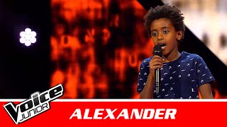 Alexander | &quot;Green Garden&quot; af Laura Mvula | Blind 1 | Voice Junior Danmark 2016