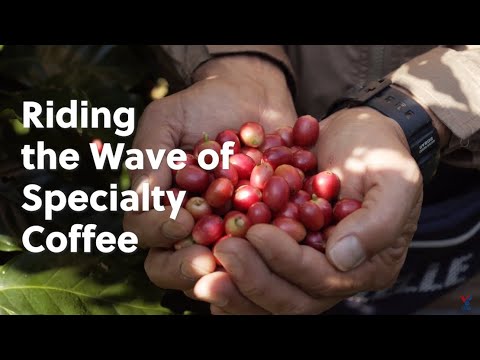 Riding the Wave of Specialty Coffee