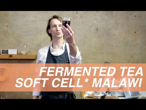 Tea Addicts 2022 - Dark Tea Soft Cell Thyolo Malawi Ripe Pu Erh Shou Pu'er Post Fermented Hei Cha