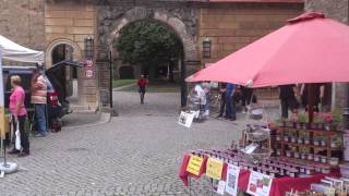 preview picture of video 'Kleiner Markt am Dom zu Merseburg'