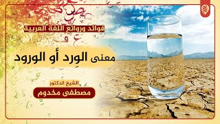 معنى الوِرد أو الورود | فوائد وروائع اللغة العربية | د. مصطفى مخدوم image