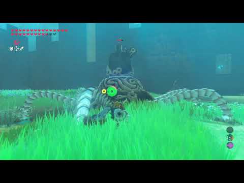 Breath of the Wild - Final Trials - Floor 20