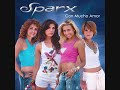 Nunca Te Olvidé - Sparx