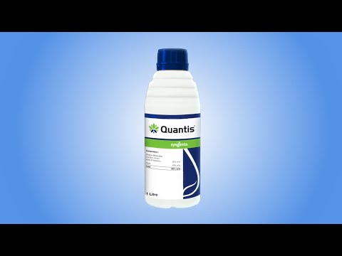 Syngenta Fungicides - Latest Price, Dealers & Retailers in India