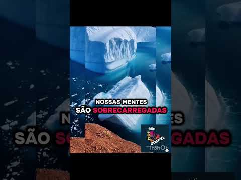 SEGUNDO A CARNE