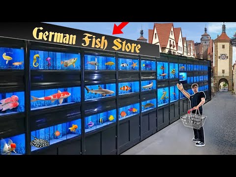 GERMANY EXOTIC FISH STORE TOUR!