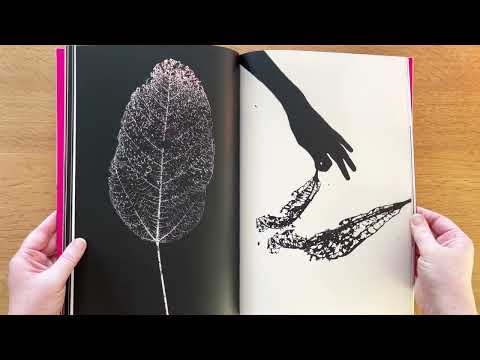 Ephemere by Paul Cupido