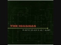 Flame On - The  Iguanas - Plastic Silver 9 Volt Heart