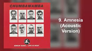 Chumbawamba - Knock Hard... Life Is Deaf (9. Amnesia [Acoustic Version])
