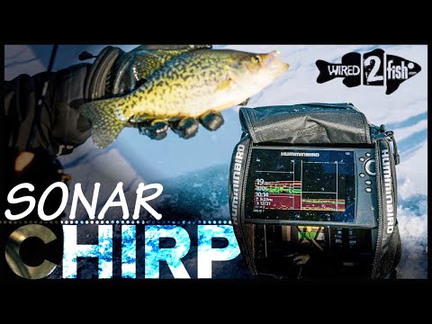 Why CHIRP is the Best 2D Sonar for Ice Fishing
