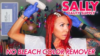 Color Remover from Sally Beauty Supply: NO BLEACH OR DEVELOPER- JUST ADD WATER!