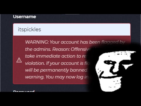My Account Got Flagged...
