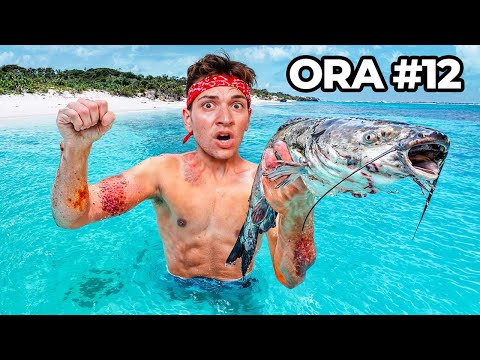 I survive on a desert island for 30 hours.