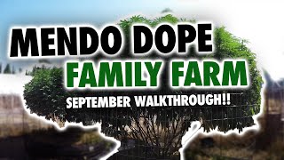 MendoDope Family Farm 9.1.17