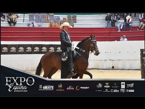 ✨🐴Día dos  Expo Equina 2025! 🇨🇴