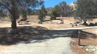 Boulder Gulch Campground Video