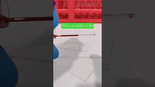 Download lagu Capillary tube mp3 Download lagu Capillary tube mp3