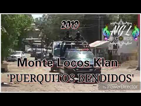 Monte Locos Klan-Puerquitos Bendidos-2019