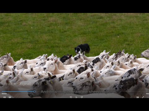 Farming Foodsteps On Farm Video Series: Golland Farm Episode 6