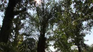 Wildflowers B&B | Kentucky Life | KET