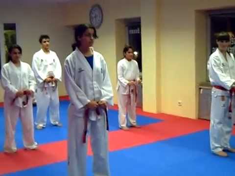 CHUNG MU TUL Taekwon-Do ITF Chon-Ji Kwan Bochum e.V.