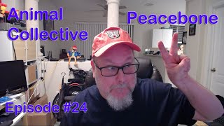 Old School Music Guy reacts to: Animal Collective - Peacebone (reaction video)