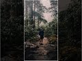 Mayakkam Enna Bgm WhatsApp Status