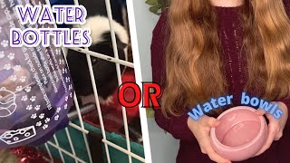 Water Bottles or Water Bowls for Guinea Pigs