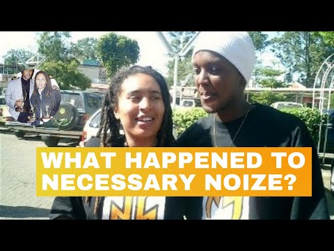 What Happened to Necessary Noize: The Necessary Noize Legacy(Documentary)