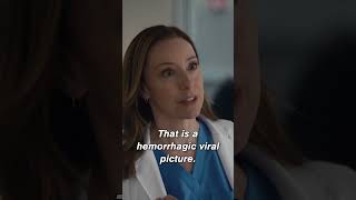 show video image in three sizes