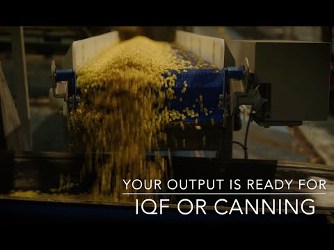 PROEX FOOD Sweet Corn Processing Line; Sweet Corn Kernels for IQF or Canning